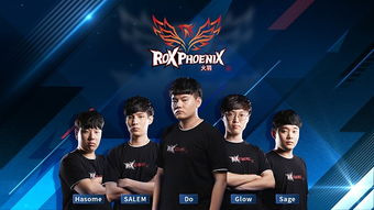 lol中rox tiger战队的故事