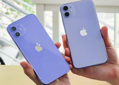 2021苹果手机最新款是哪款？