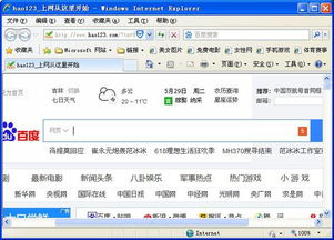 cookie什么意思啊？