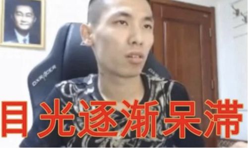 娱乐圈宝哥是谁