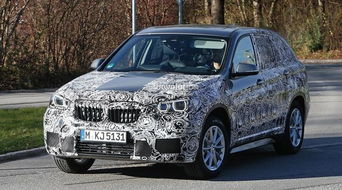 谍照是什么意思?