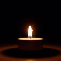 安慰节哀顺变的意思,逝者安息,节哀顺变的意思