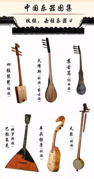 乐器大全100种