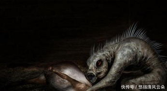 中国十大神秘生物