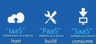 premise是什么意思