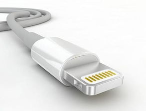 什么是 lightning接口