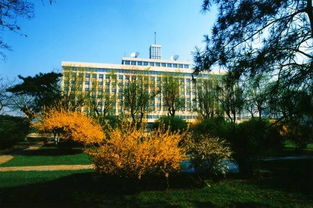 本科大学有哪些专业适合女生，本科大学有什么专业