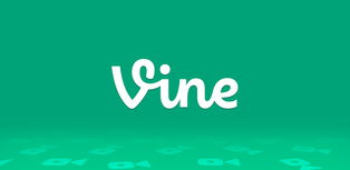 vine是什么意思