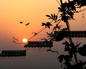 男人说人生若只如初见什么意思,何事秋风悲画扇,人生若只如初见什么意思