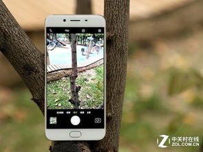 拍照最好的手机有哪些？