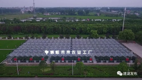 创业园区是干什么的？