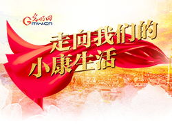 什么样的生活就是小康生活？小康生活的标准是什么？