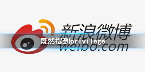 privilege是什么梗？