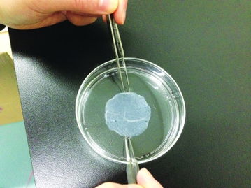 武汉细胞库官网