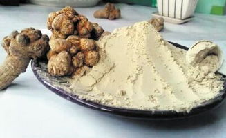 三七粉的功效与作用禁忌详解图