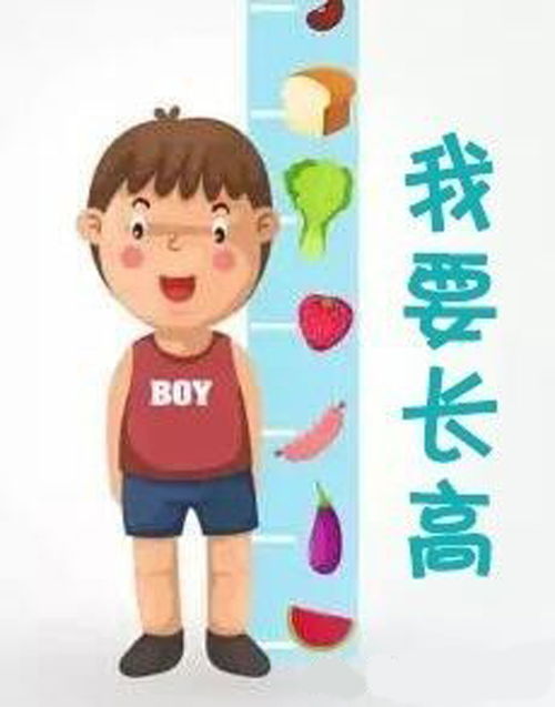 13岁矮个子怎样长高