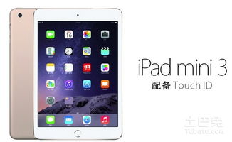 ipad电池容量怎么看