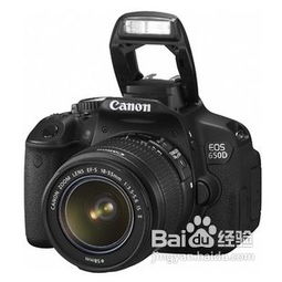 单反相机 什么牌子好呢