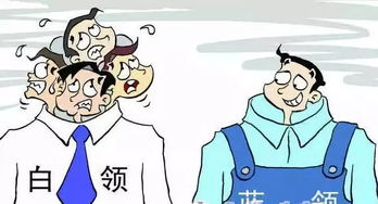 白领和蓝领什么区别呢？