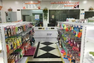 开宠物店投资多少钱,现在开宠物店赚钱吗