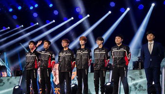 edg viper,edg是什么意思