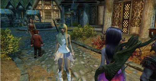 上古卷轴5：天际的配置要求