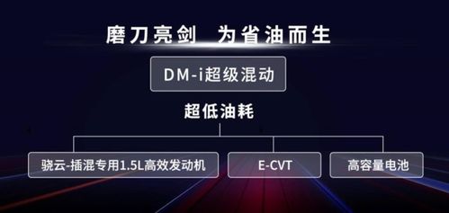 在游侠下载的辐射4 用开始游戏或者3dm的启动器启动