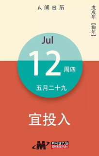 投入是什么意思？