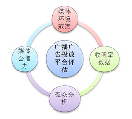 常用的媒介发布策略有？