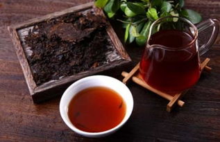 古树生普洱茶多少钱一斤