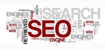 邢台SEORain可以帮网站做优化吗？