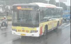 507路公交车路线图