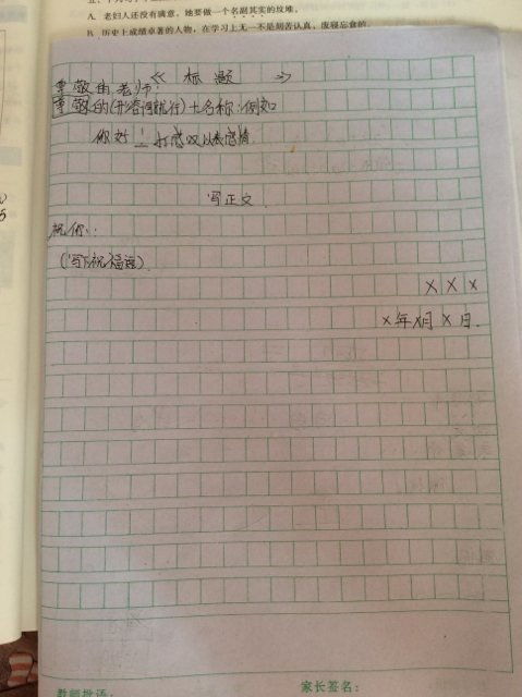 作文本格式怎么写