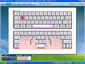 新手学电脑打字入门,新手学电脑打字用什么软件好