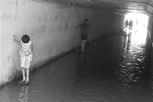 淌浑水什么意思