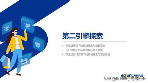 什么是垂直类电商