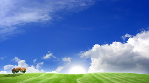 高清晰电影在线观看