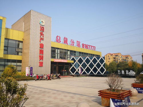 网站建设他主要是做那些？