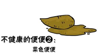 拉屎臭味大怎么解决