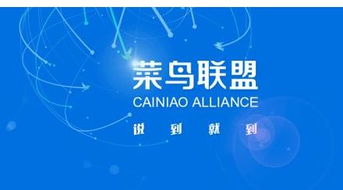 中国智能物流骨干网的模式