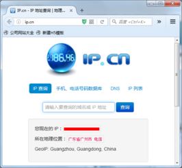 站长工具怎么查到网站访问的独立ip数目