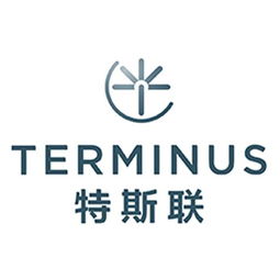 武汉特斯联智能工程有限公司怎么样？