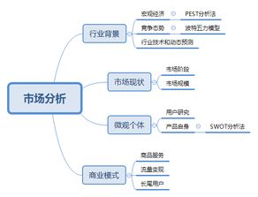 市场分析包括哪些内容