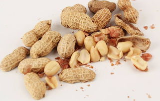 花生壳怎么使用``