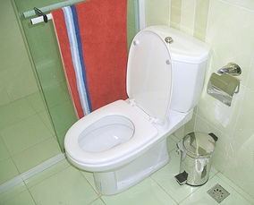 马桶不抽水是什么原因