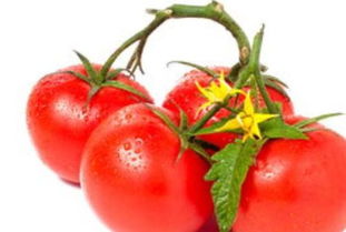 西红柿对男人的好处和坏处