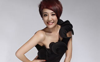 左岩的人物事迹