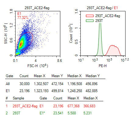 hek293和293t的区别