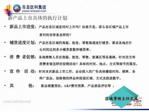 求经典产品推广策划书~！