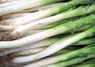 葱根的功效与作用 葱须的功效